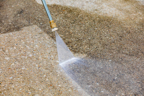 Reliable Louise, TX Pressure washing Solutions